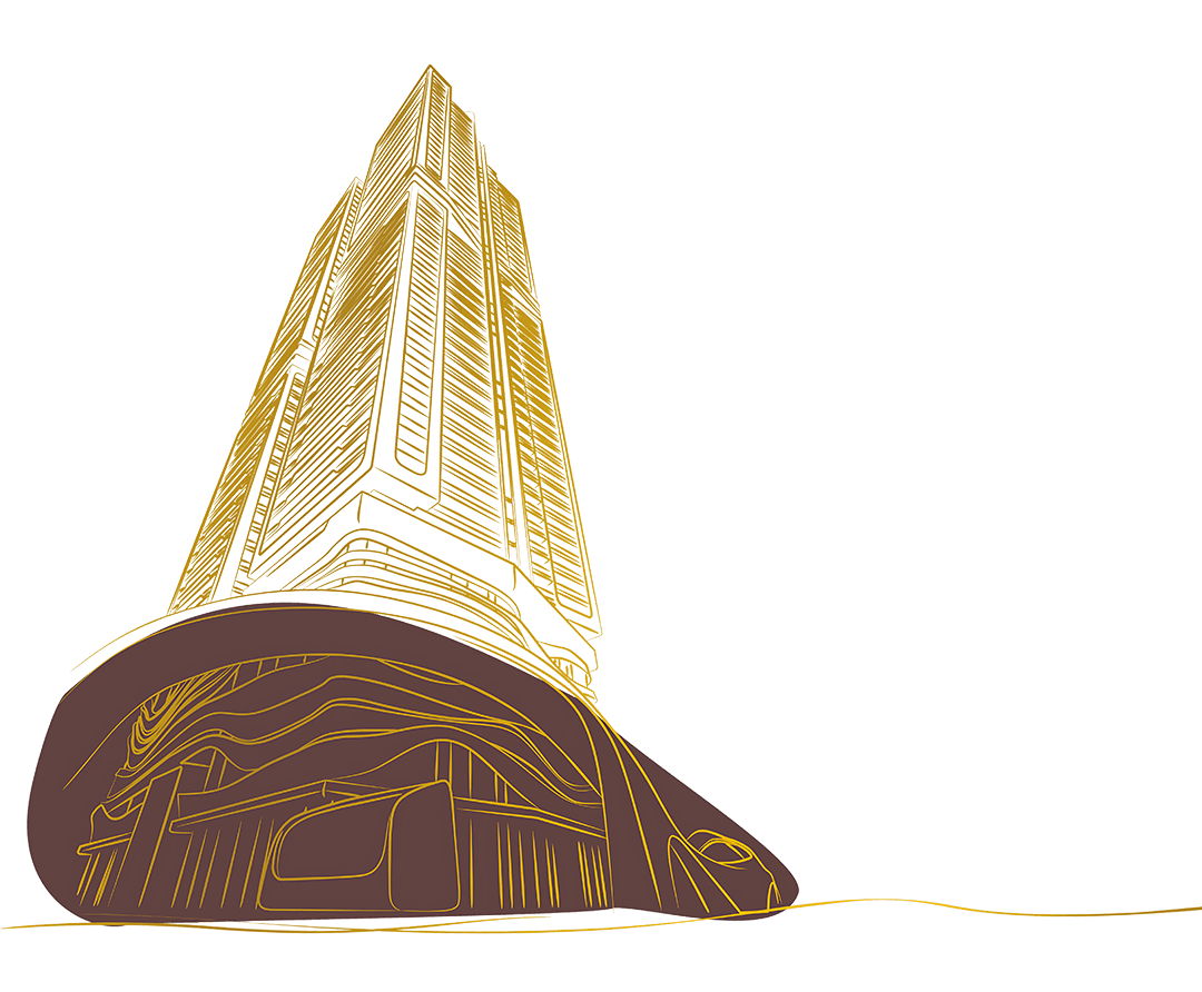 overview image